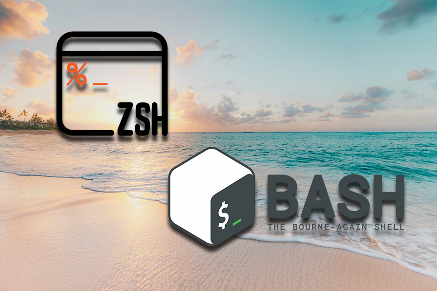 bash vs zsh