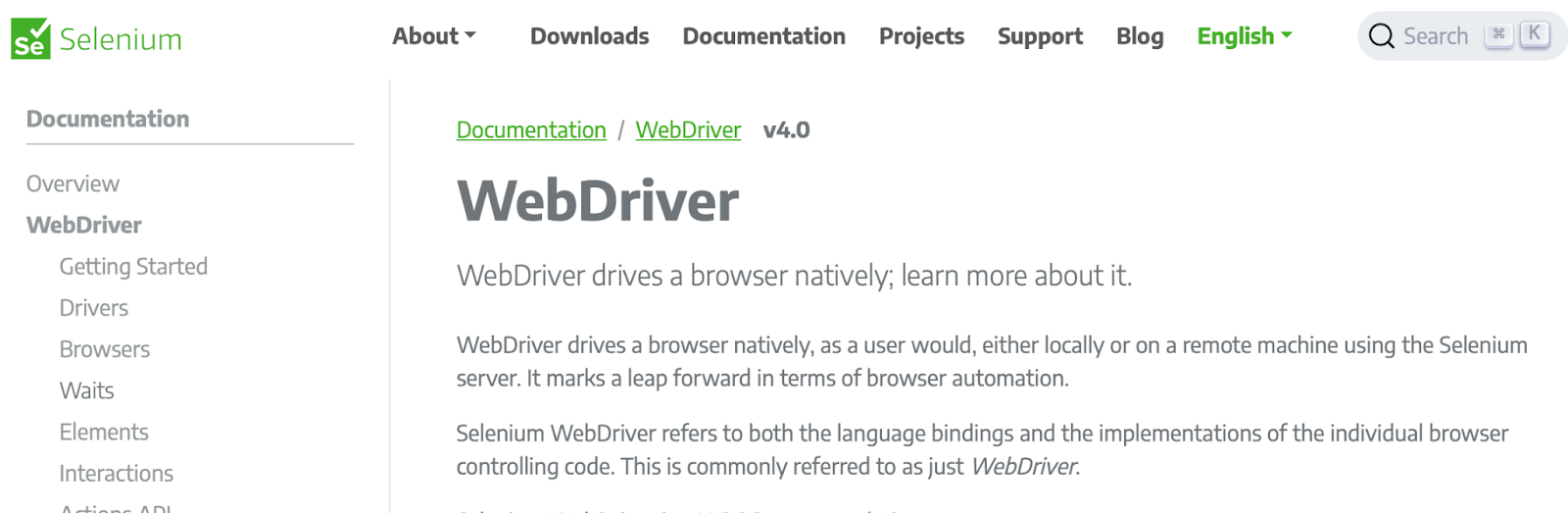 Selenium WebDriver