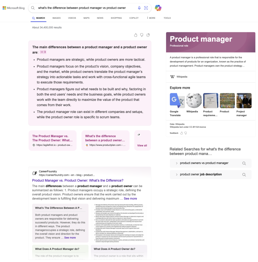 Bing AI Overview
