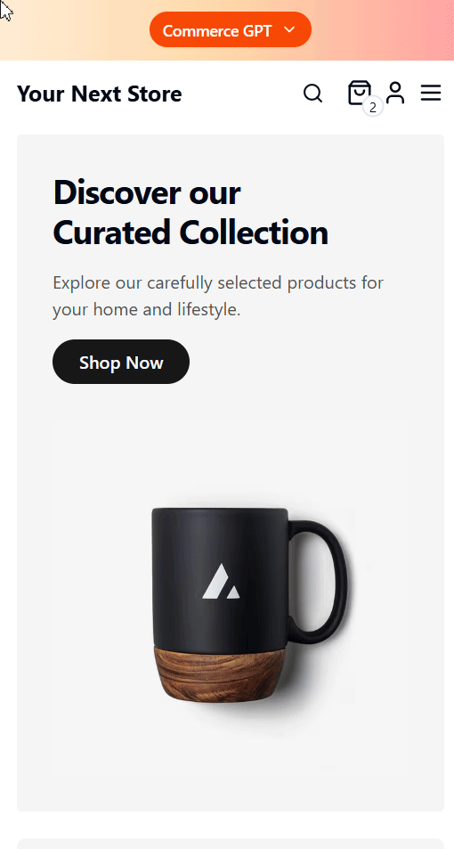 Example Of An E-commerce Store