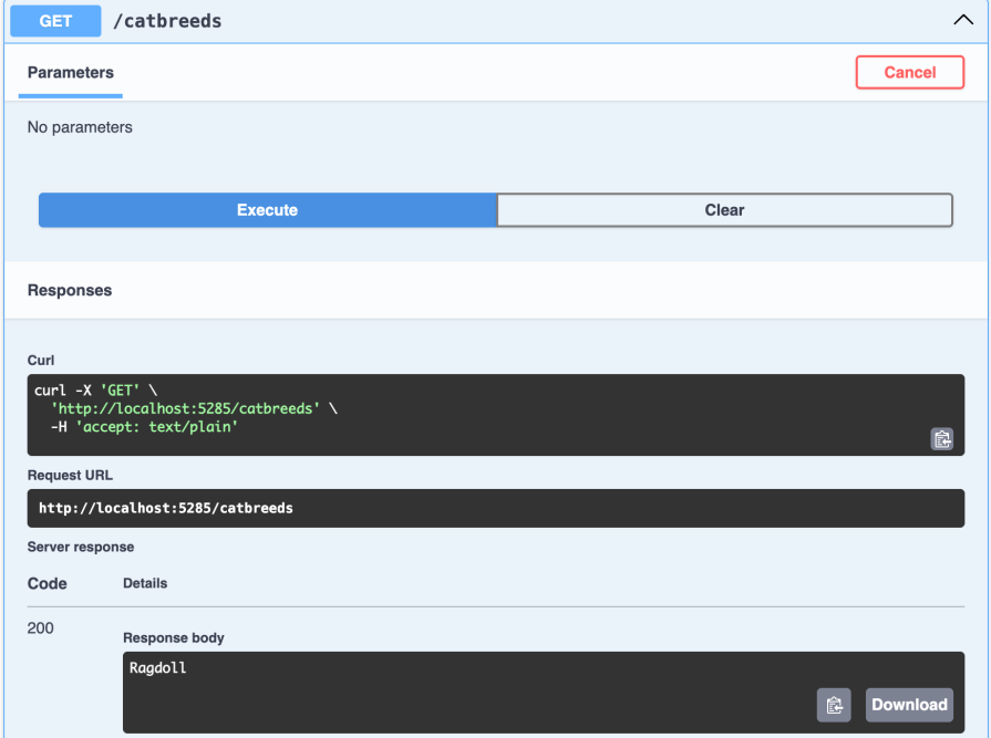 press execute to see that app invokes the API