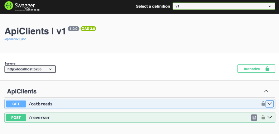 authorize button becomes visible in Swagger UI