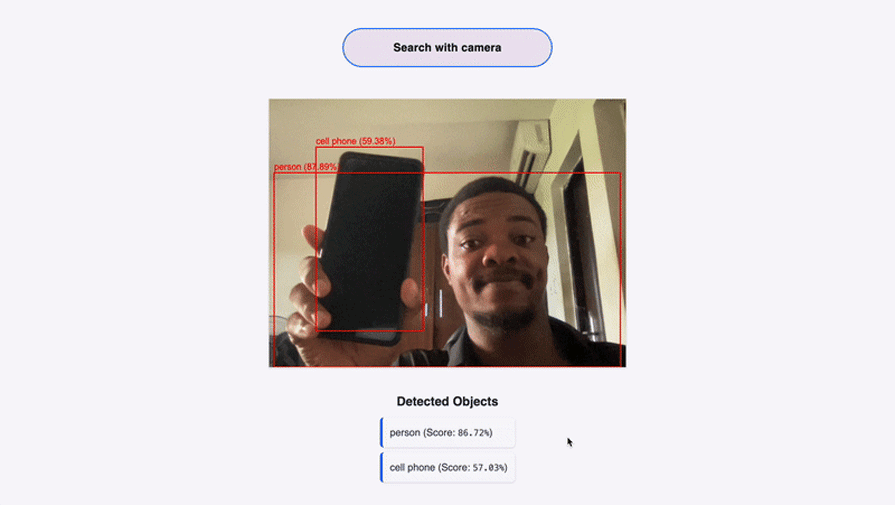 gif of demo image detection app