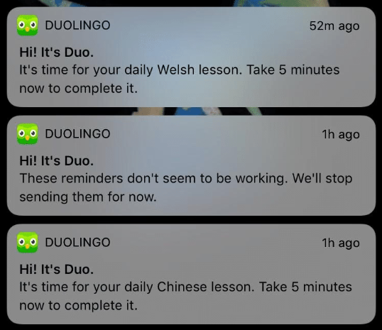 Duolingo Notification