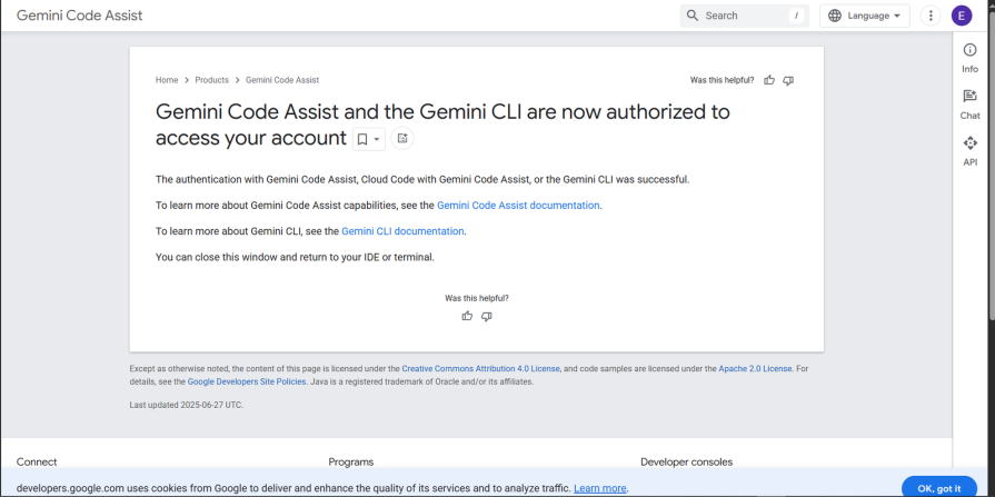 Gemini Code Assist Login Option