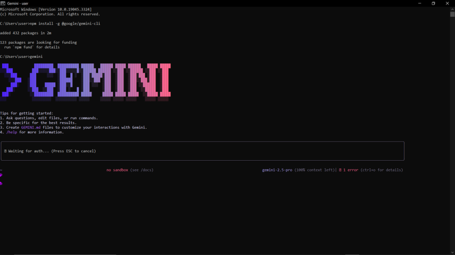 Gemini Successful Download, Shows Colorful Gemini Logo