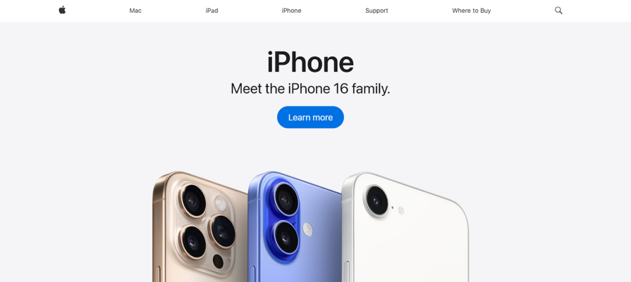 Apple Homepage Cognitive Load Theory Example