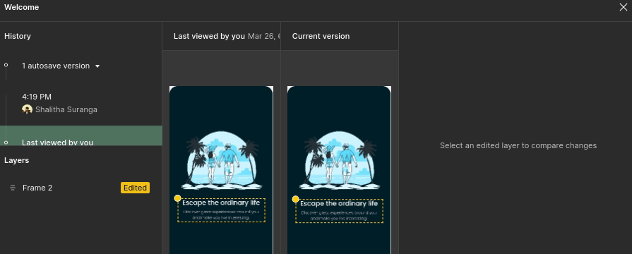 Managed Version History Zeplin