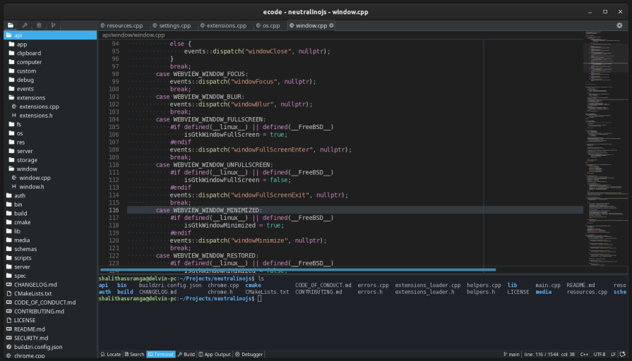 The ecode native code editor