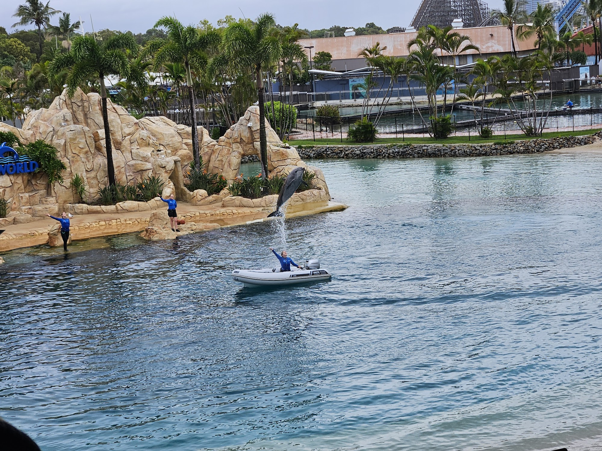 A dolphin leaping out of the water over a person in a small boat during a marine show